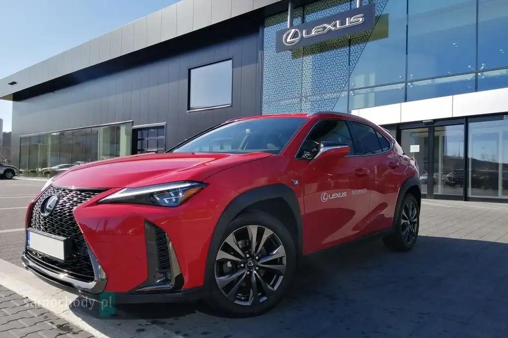 Lexus UX Kombi 2019